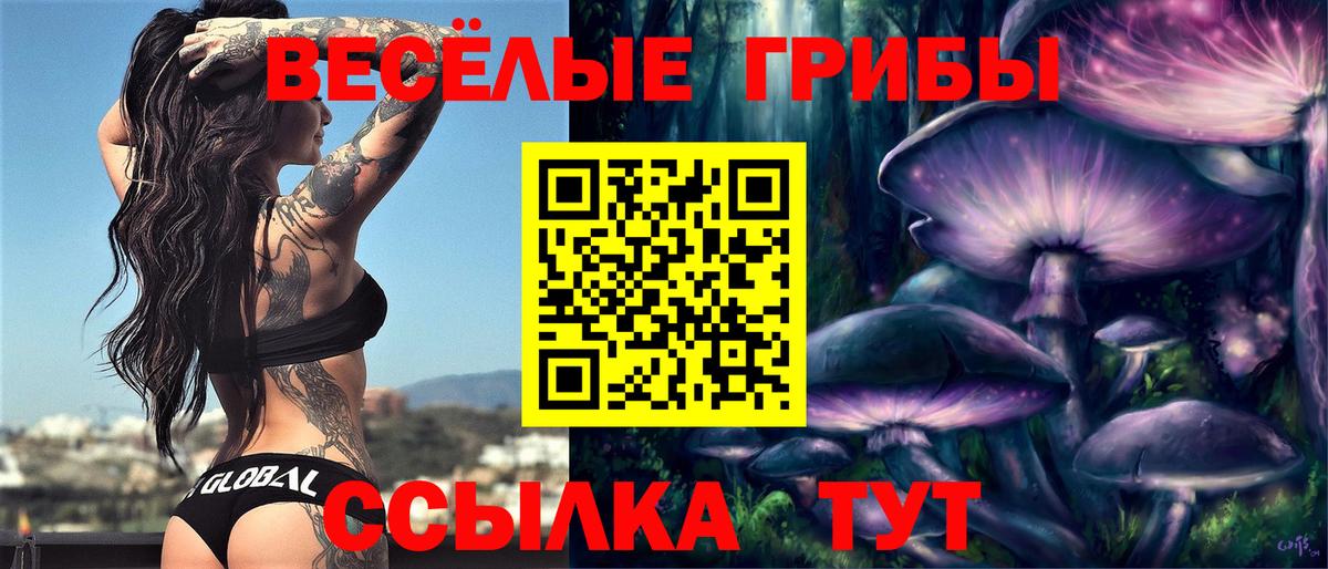 Галлюциногенные грибы MAGIC MUSHROOMS  Вход с VPN  Кохма 