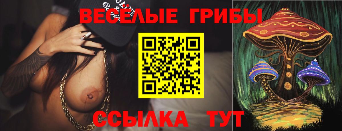 Псилоцибиновые грибы Magic Shrooms Кохма